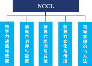 京师领导力 NCCL 系列活动之文化与团队领导力 九种文化维度下的团队建设